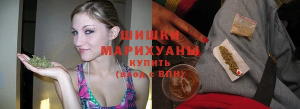 шишки Абаза