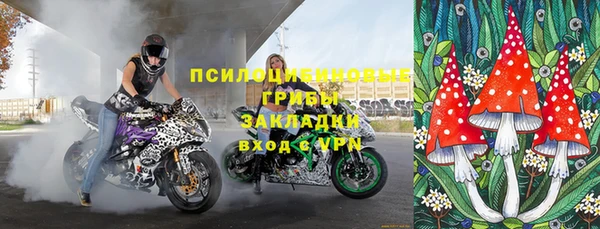 шишки Абаза