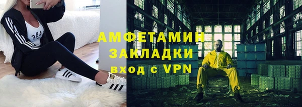 шишки Абаза