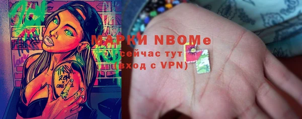 шишки Абаза