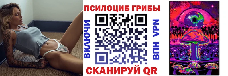 Галлюциногенные грибы Psilocybe  где купить   Гагарин 
