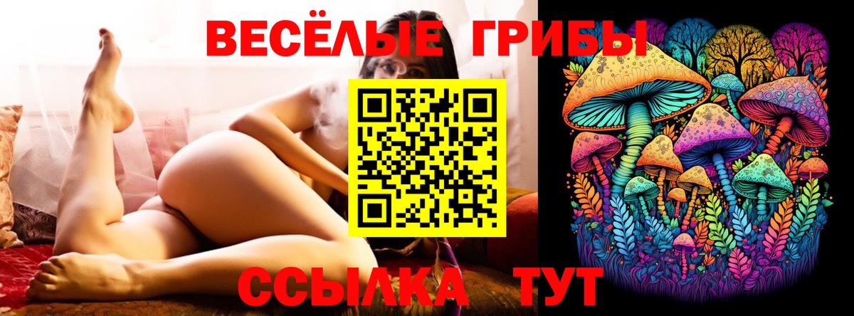 Псилоцибиновые грибы Psilocybe Гагарин