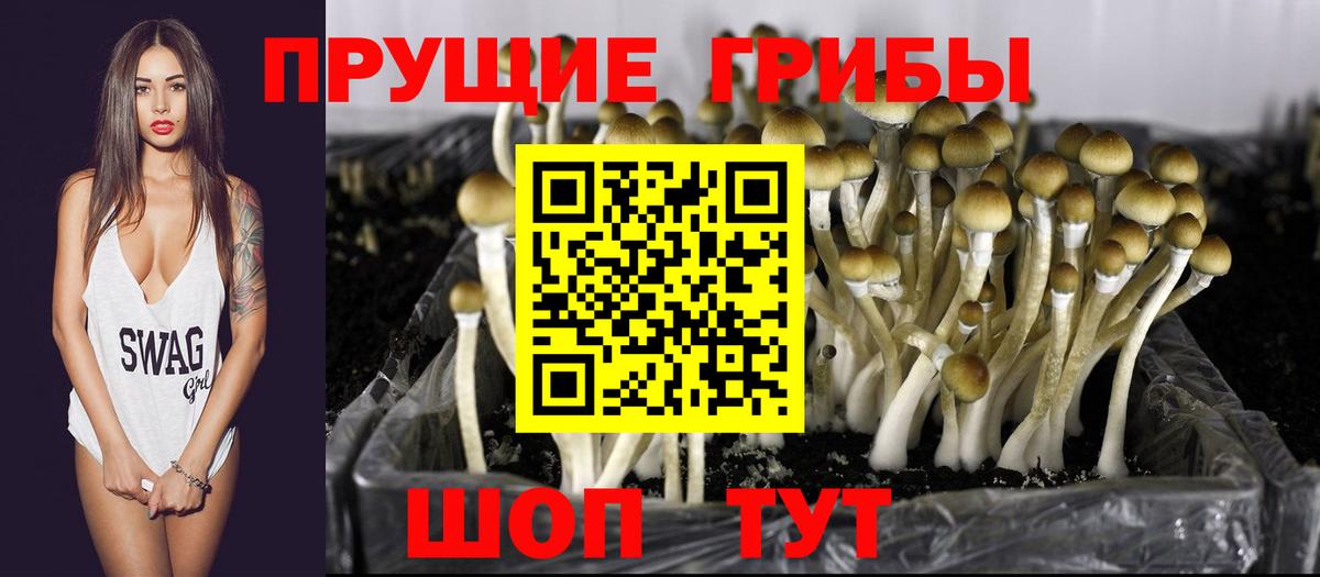 что такое наркотик  Вход с VPN  Гагарин  Галлюциногенные грибы мухоморы 
