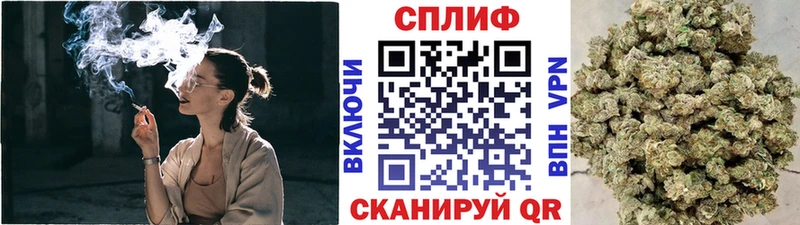 Каннабис MAZAR  ссылка на мегу как войти  Гагарин  наркотики 
