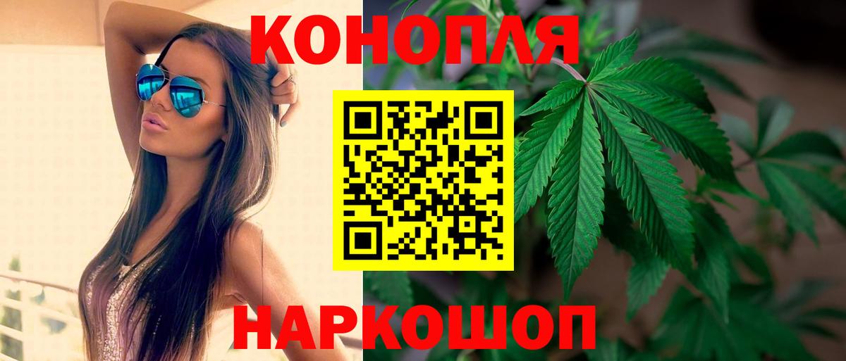 Бошки марихуана планчик  Вход с VPN  Бошки марихуана конопля  Канабис семена  Гагарин 